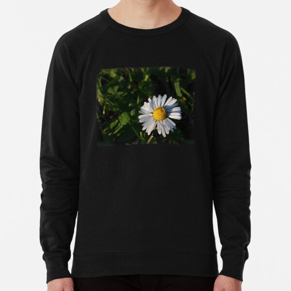 Lightweight Sweatshirt