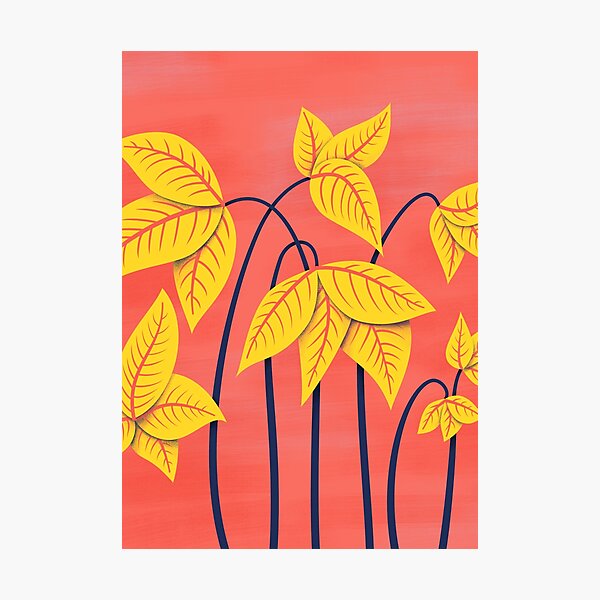 Photographic Print