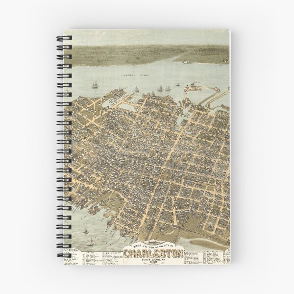 Item preview, Bird's Eye View of Charleston, South Carolina (1872) designed and sold by allhistory.