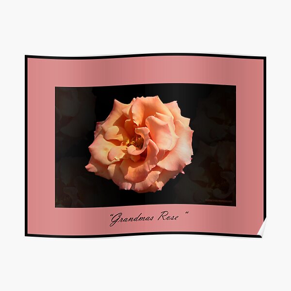 " Grandmas Rose " Poster