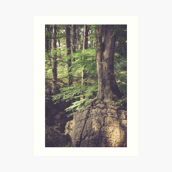 Mystisches Waldland Kunstdruck