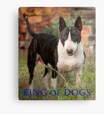 King of Dogs Metal Print