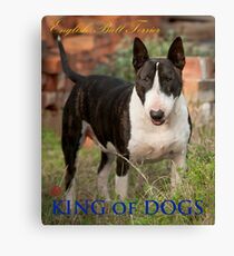 King of Dogs Canvas Print