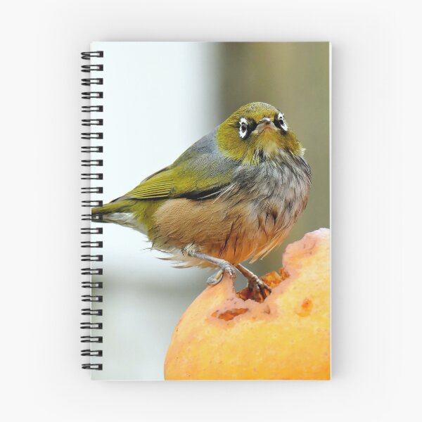 Item preview, Apple Depreciation - Silver-Eye - NZ designed and sold by AndreaEL.
