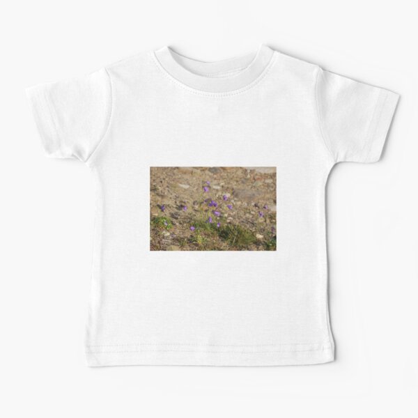 #flower #nature #outdoors #grass #field garden leaf season summer petal Baby T-Shirt
