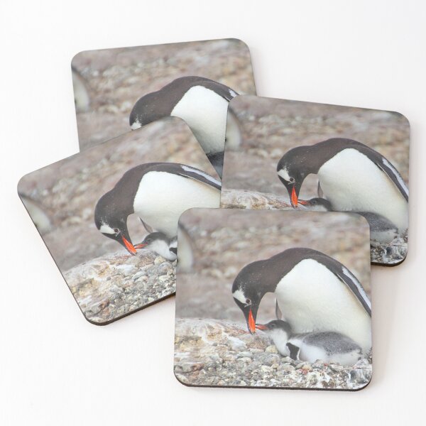 Item preview, Gentoo Penguin Feeding Chick designed and sold by Carole-Anne.