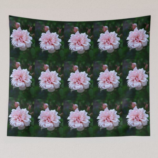 Item preview, Beautiful Soft Pink Rose designed and sold by imaginethis.