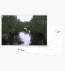 Avon River Reflections Postcards