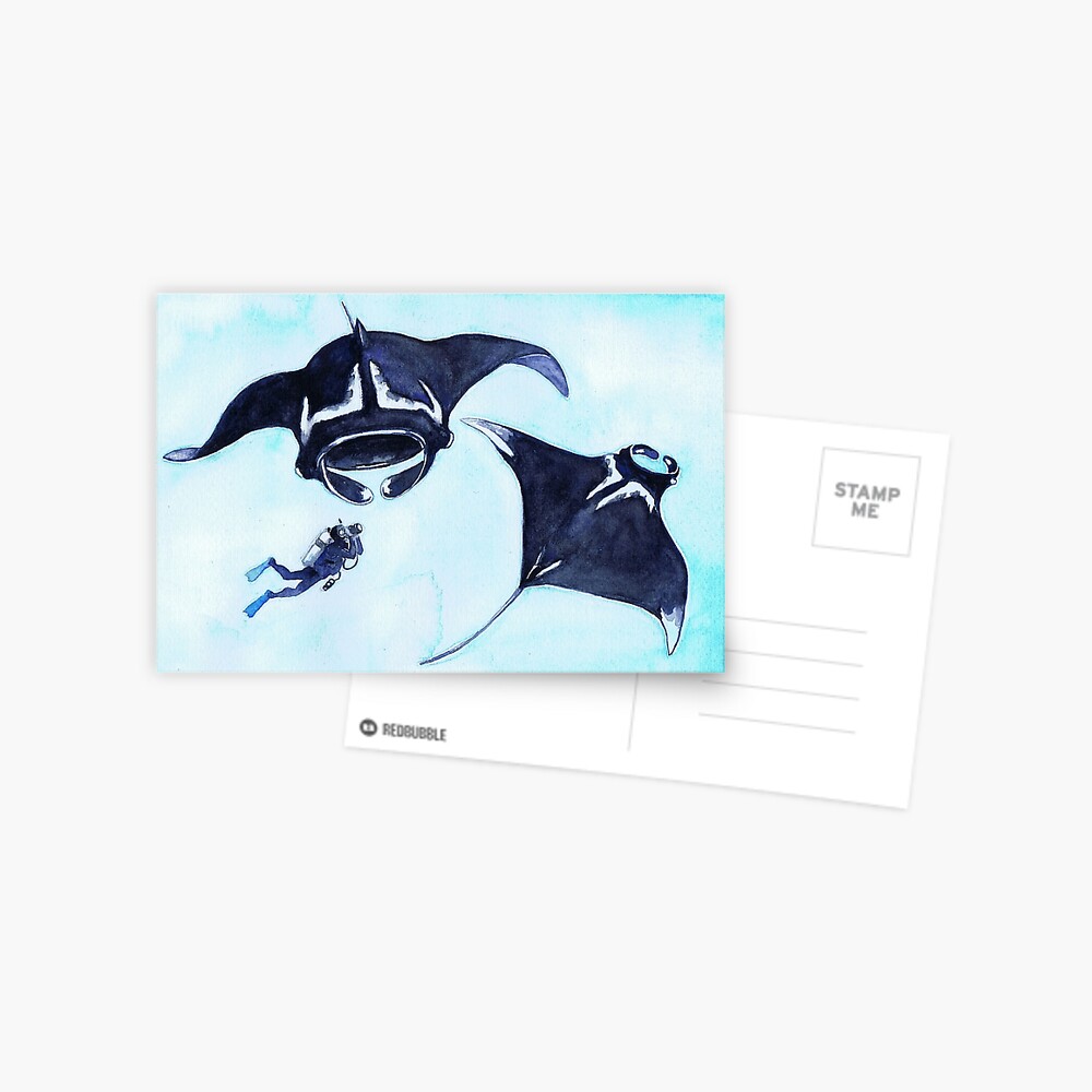 Postcards for the Reef 13: Manta Rays and Me Postcard
