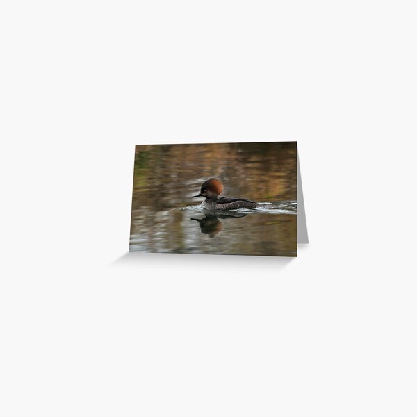 Female Hoody Greeting Card