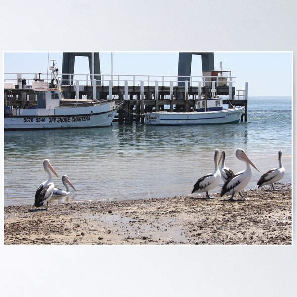 Item preview, Pelican paradise designed and sold by Glen Sheppard.