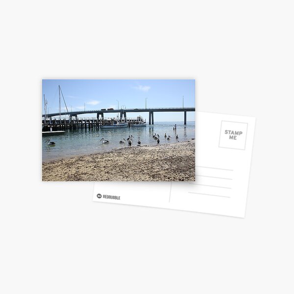 Lunch is done....back to work Postcard