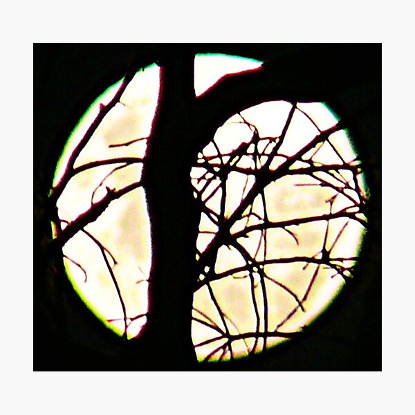Untitled Photographic Print