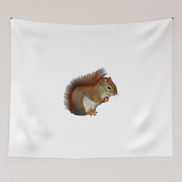Item preview, Squirrel designed and sold by Style4You24.