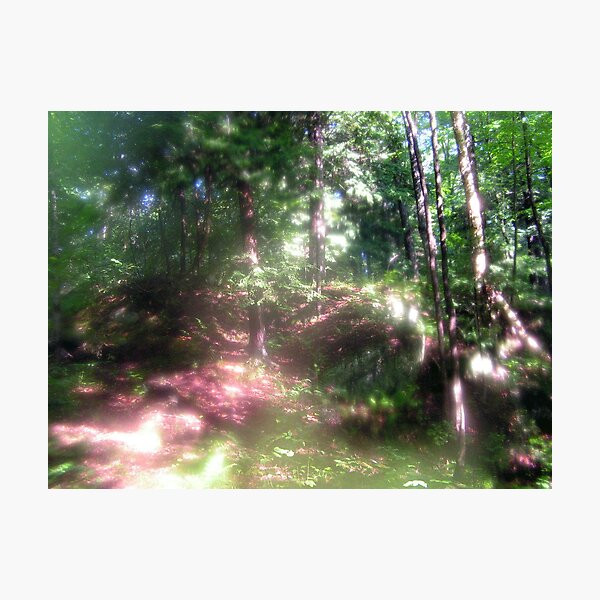 Morning Light Series 2 Photographic Print