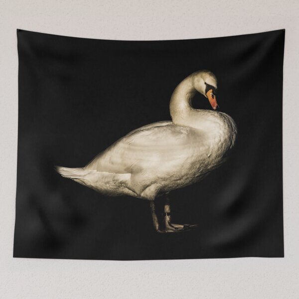 Item preview, Mute Swan Portrait  designed and sold by RichardSayer.