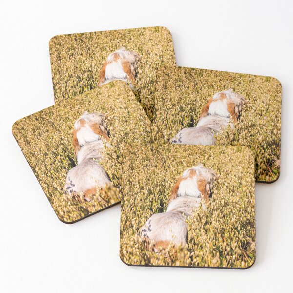 Item preview, Wild Oats Spinone designed and sold by FOLK ART FUSION by heidiannemorris.