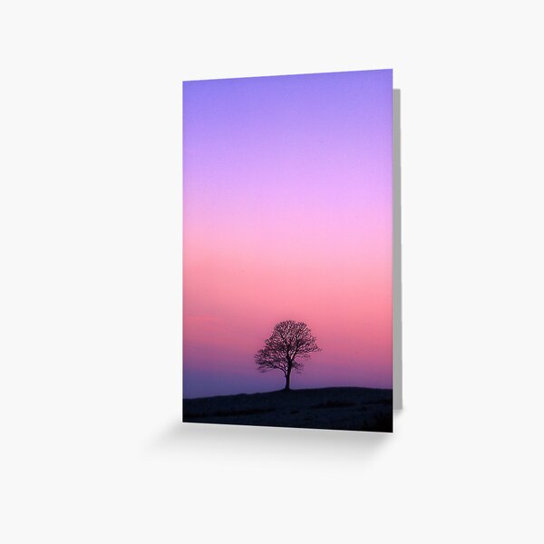 A tree on the Roaches at dawn Greeting Card