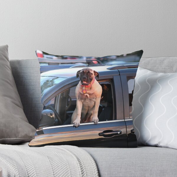Item preview, Watching the Sunset While it Reflects on the Car designed and sold by Gilda Axelrod.