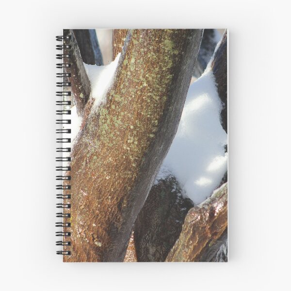 Item preview, Icy Snowy Maple designed and sold by Gilda Axelrod.