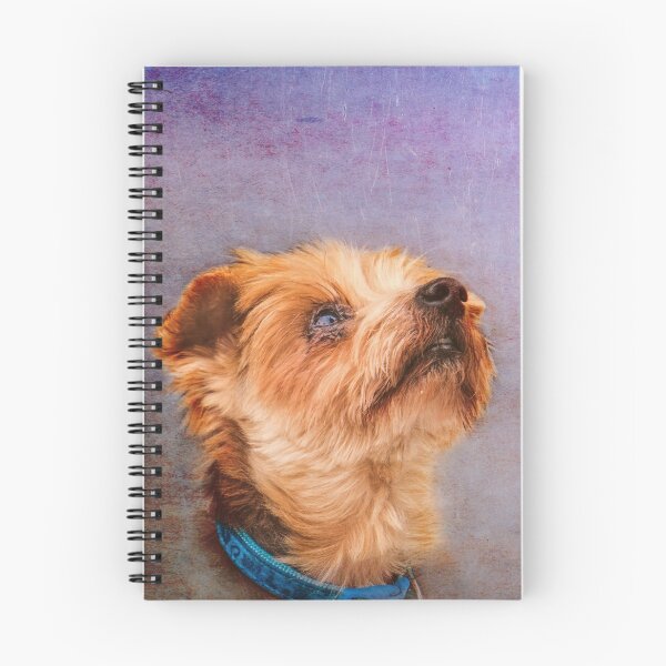 Item preview, Bertie designed and sold by Gbenonys Art.
