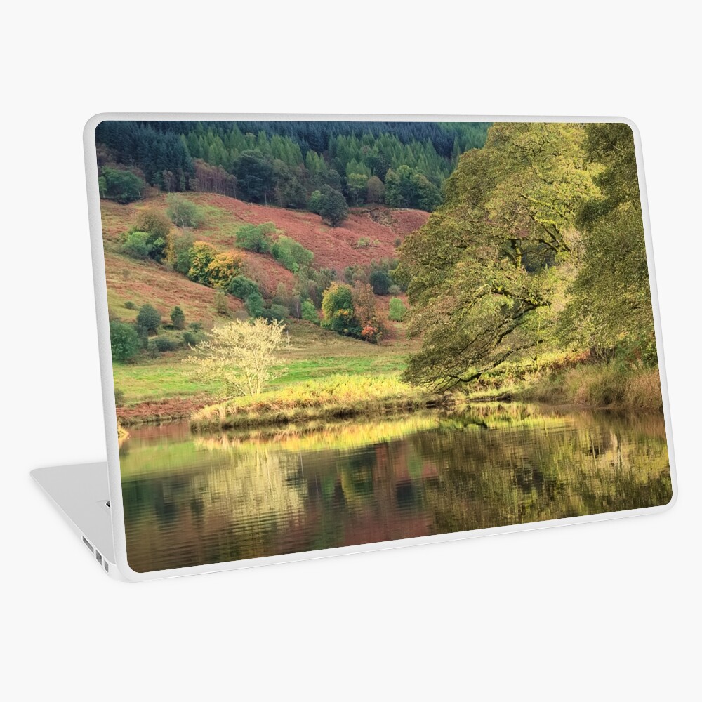 Item preview, Laptop Skin designed and sold by ShinyPhoto.