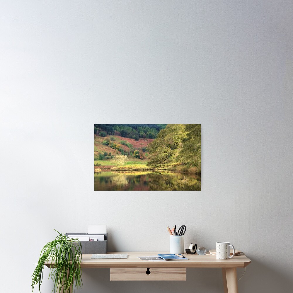 Item preview, Poster designed and sold by ShinyPhoto.