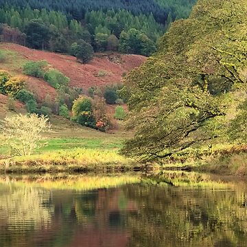 Artwork thumbnail, Dubh Loch Crannog by ShinyPhoto