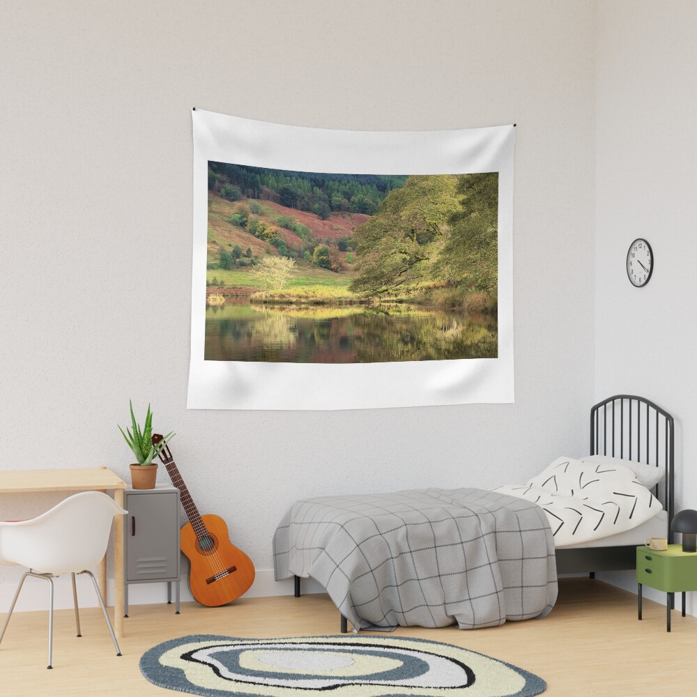 Item preview, Tapestry designed and sold by ShinyPhoto.