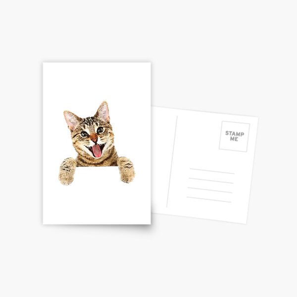 ★ No Grumpy Cats here! Postcard