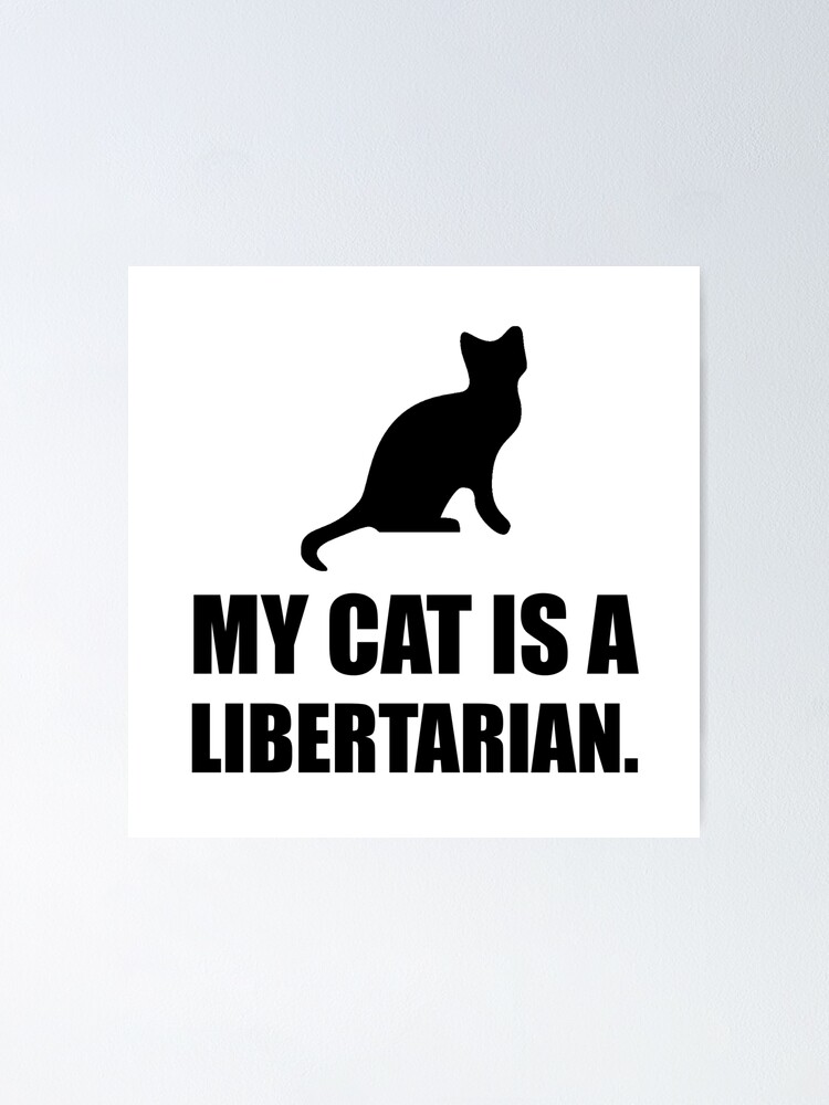 My Rabbit Is Smarter Than Your President Political T-Shirt My Rabbit Is Smarter Than Your President Political T-Shirt