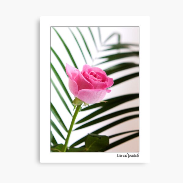 Love & Gratitude Canvas Print