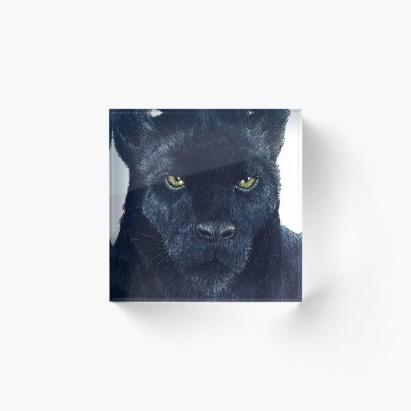 Artikelvorschau, Der schwarze Panther entworfen und verkauft von bradyguy.