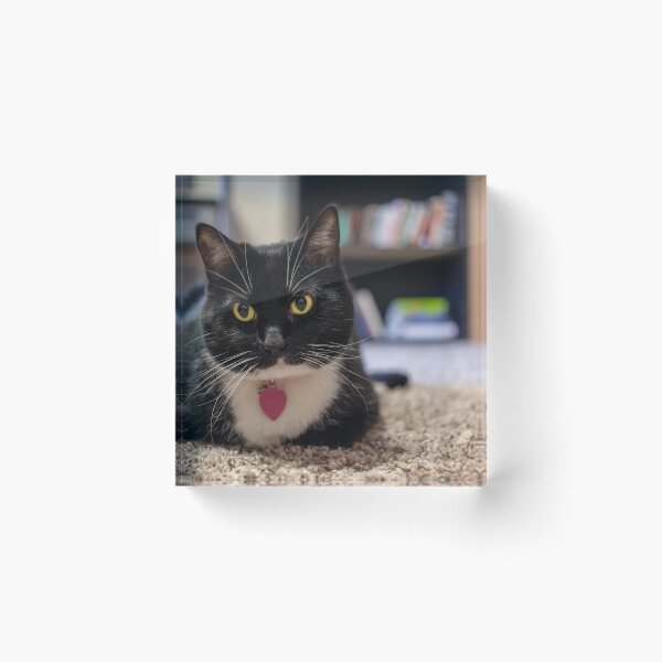 Item preview, Tuxedo Cat designed and sold by laughlinstudio.