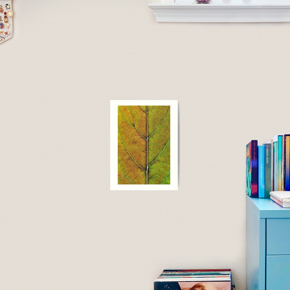 Avocado leaf structure Art Print