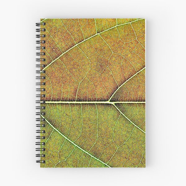 Item preview, Avocado leaf structure designed and sold by fardad.