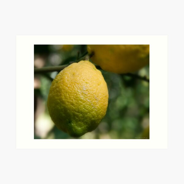 Uno sfumato al limone Art Print