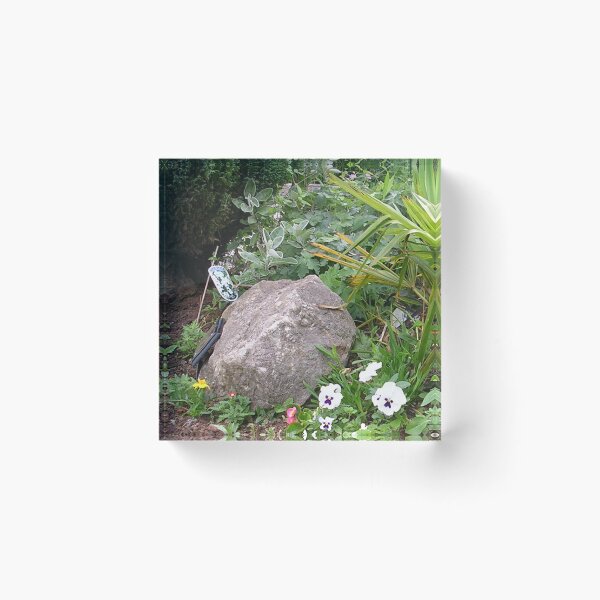 Item preview, My Rock designed and sold by lezvee.
