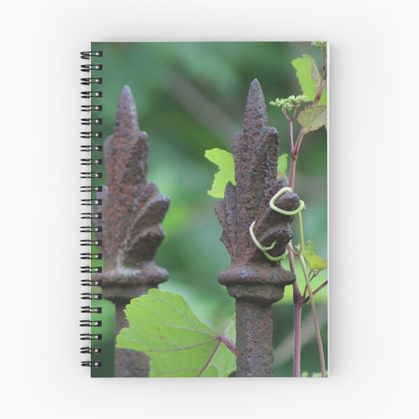 Item preview, Vines Entwine designed and sold by Gilda Axelrod.