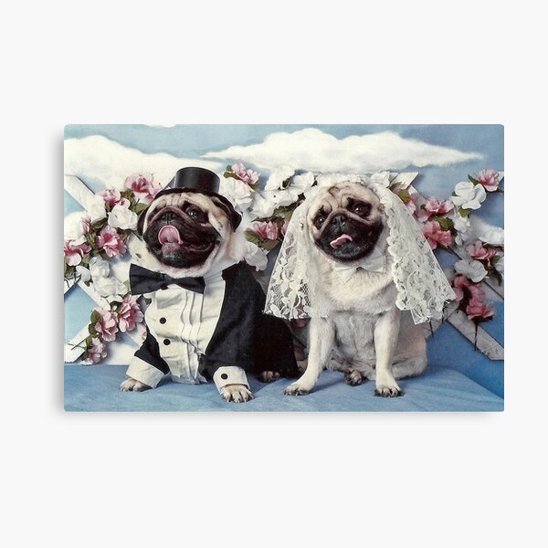 The Wedding Pug Dogs Canvas Print