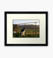 Resolution Framed Print