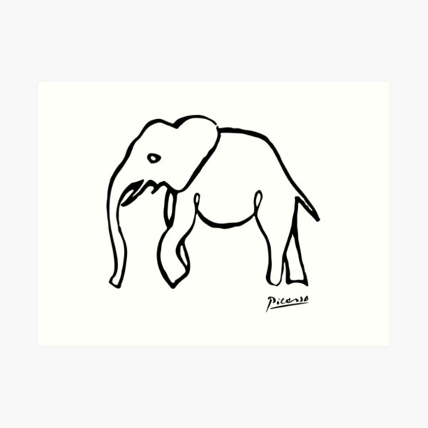 elephant canvas women's classics