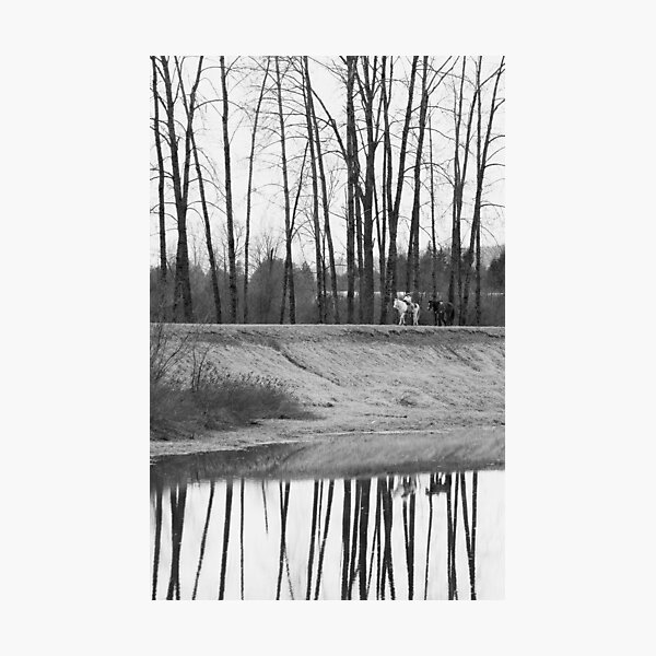 Horses at DeBoville Slough Photographic Print