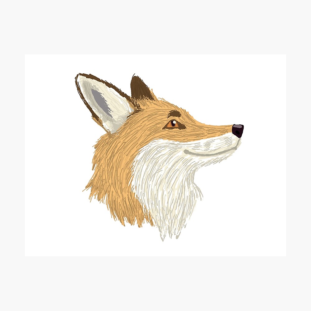 Cute Fox Drawing Head : Imagine the head as a clock face and