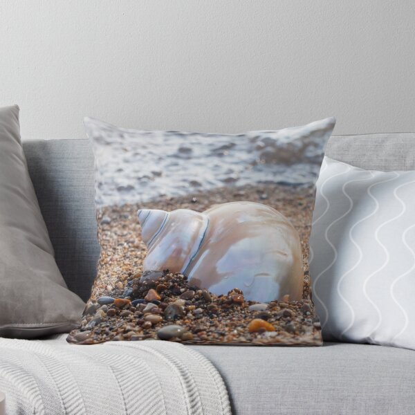 Item preview, Seashell Photography, Fine Art Photography, Ocean, Beach, Conch, Macro, Coastal Wall Decor, designed and sold by aprilbernphoto.