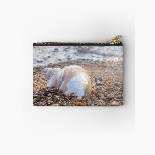 Item preview, Seashell Photography, Fine Art Photography, Ocean, Beach, Conch, Macro, Coastal Wall Decor, designed and sold by aprilbernphoto.