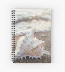 Seashell Photography, Fine Art Photography, Ocean, Beach, Conch, Macro, Coastal Wall Decor, Spiral Notebook