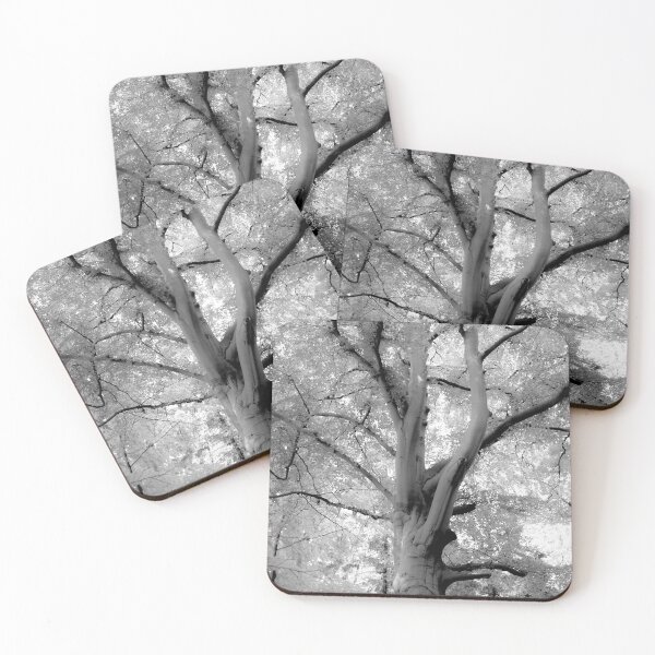Item preview, Inosculated beech designed and sold by Arc1.