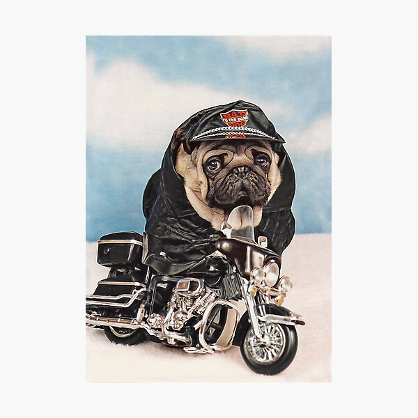 Item preview, Pug Dog Biker Motorcycle designed and sold by candiscamera.