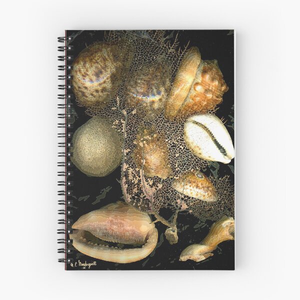 Item preview, SHELLS #9 - 286 designed and sold by memac.
